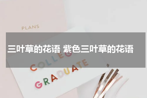 三叶草的花语 紫色三叶草的花语