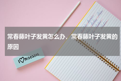 常春藤叶子发黄怎么办，常春藤叶子发黄的原因