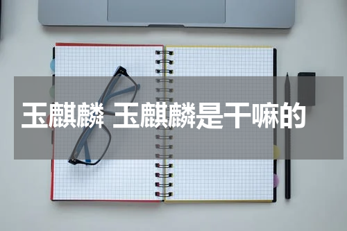 玉麒麟 玉麒麟是干嘛的