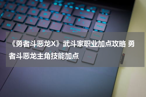 《勇者斗恶龙X》武斗家职业加点攻略 勇者斗恶龙主角技能加点