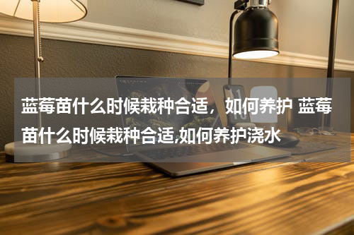 蓝莓苗什么时候栽种合适，如何养护 蓝莓苗什么时候栽种合适,如何养护浇水