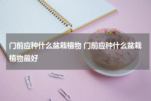 门前应种什么盆栽植物 门前应种什么盆栽植物最好
