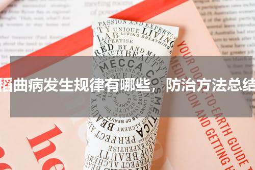稻曲病发生规律有哪些，防治方法总结