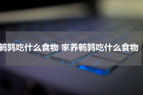 鹌鹑吃什么食物 家养鹌鹑吃什么食物