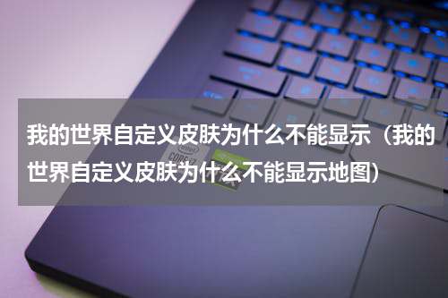 我的世界自定义皮肤为什么不能显示（我的世界自定义皮肤为什么不能显示地图）