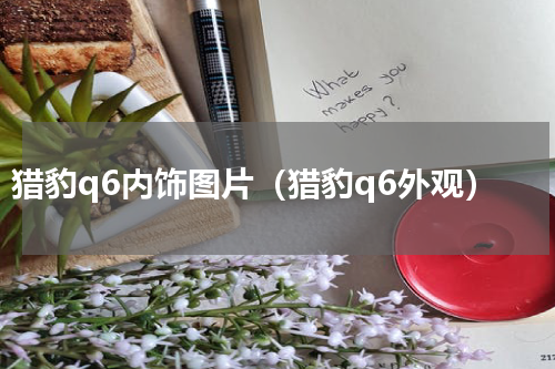 猎豹q6内饰图片（猎豹q6外观）