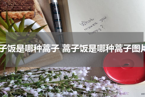 蒿子饭是哪种蒿子 蒿子饭是哪种蒿子图片