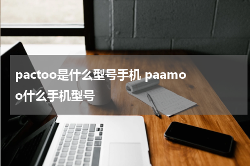 pactoo是什么型号手机 paamoo什么手机型号