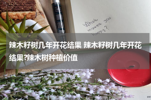 辣木籽树几年开花结果 辣木籽树几年开花结果?辣木树种植价值