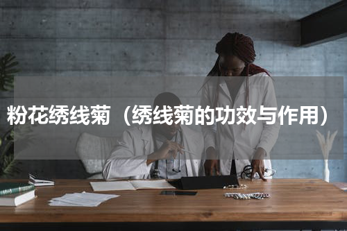 粉花绣线菊（绣线菊的功效与作用）