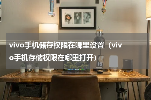 vivo手机储存权限在哪里设置（vivo手机存储权限在哪里打开）