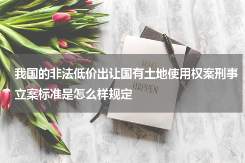 我国的非法低价出让国有土地使用权案刑事立案标准是怎么样规定
