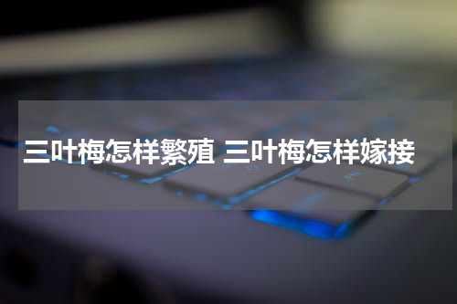 三叶梅怎样繁殖 三叶梅怎样嫁接