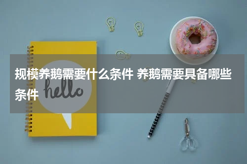 规模养鹅需要什么条件 养鹅需要具备哪些条件