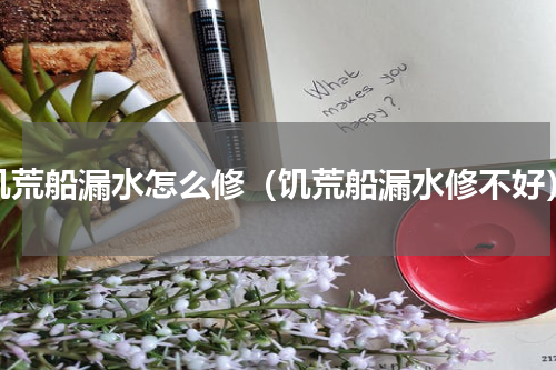 饥荒船漏水怎么修（饥荒船漏水修不好）