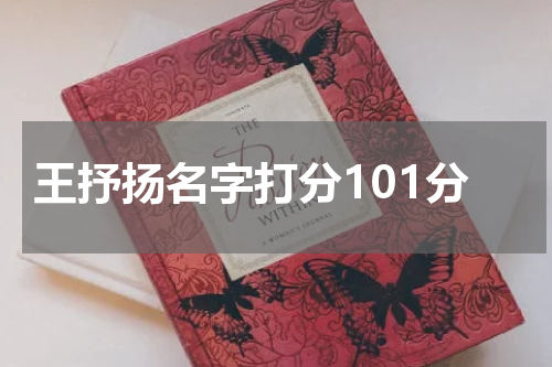 王抒扬名字打分101分
