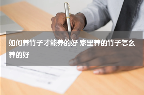 如何养竹子才能养的好 家里养的竹子怎么养的好