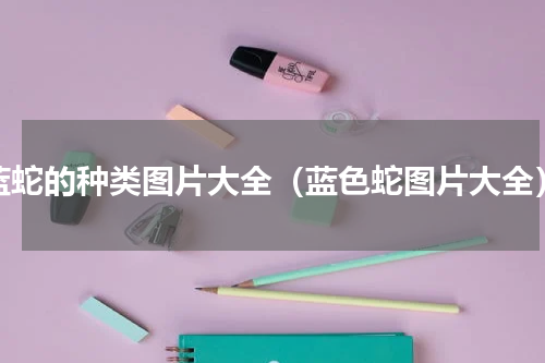 蓝蛇的种类图片大全（蓝色蛇图片大全）