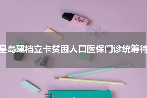 秦皇岛建档立卡贫困人口医保门诊统筹待遇