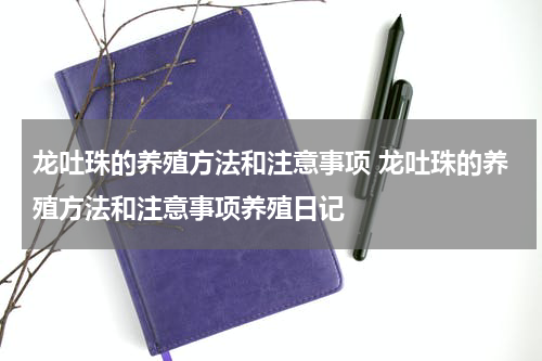 龙吐珠的养殖方法和注意事项 龙吐珠的养殖方法和注意事项养殖日记