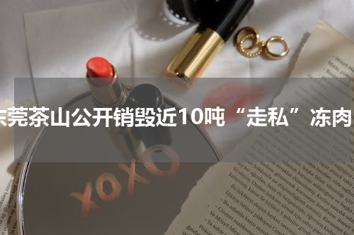 东莞茶山公开销毁近10吨“走私”冻肉