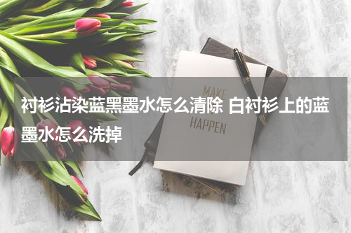 衬衫沾染蓝黑墨水怎么清除 白衬衫上的蓝墨水怎么洗掉