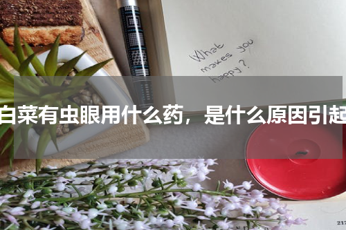 小白菜有虫眼用什么药，是什么原因引起的