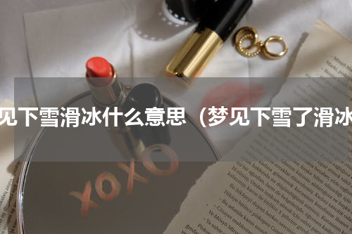 梦见下雪滑冰什么意思（梦见下雪了滑冰）