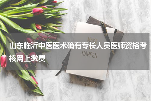 山东临沂中医医术确有专长人员医师资格考核网上缴费