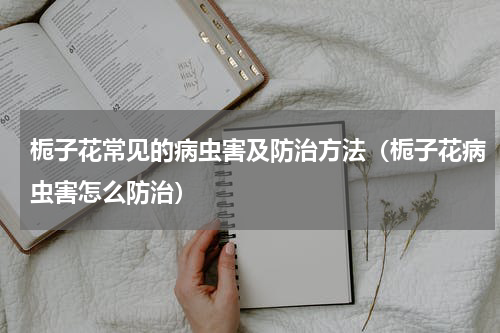 栀子花常见的病虫害及防治方法（栀子花病虫害怎么防治）