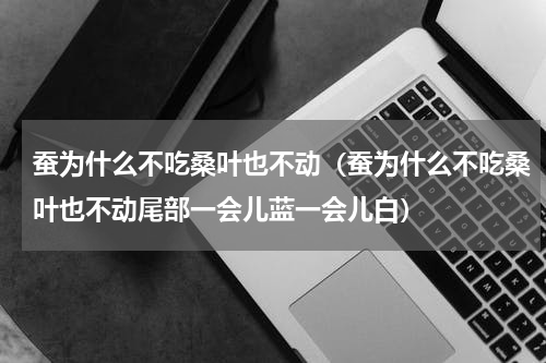 蚕为什么不吃桑叶也不动（蚕为什么不吃桑叶也不动尾部一会儿蓝一会儿白）