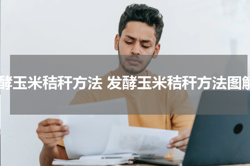 发酵玉米秸秆方法 发酵玉米秸秆方法图解