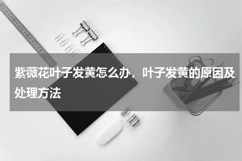 紫薇花叶子发黄怎么办，叶子发黄的原因及处理方法