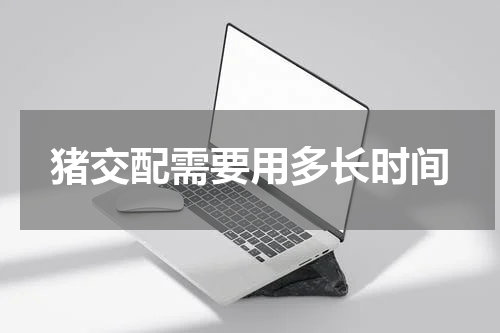 猪交配需要用多长时间