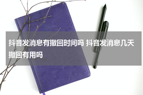 抖音发消息有撤回时间吗 抖音发消息几天撤回有用吗