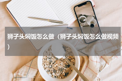 狮子头焖饭怎么做（狮子头焖饭怎么做视频）
