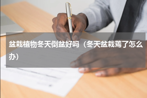 盆栽植物冬天倒盆好吗（冬天盆栽蔫了怎么办）
