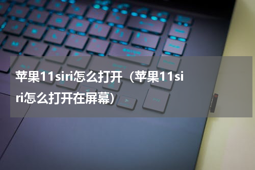 苹果11siri怎么打开（苹果11siri怎么打开在屏幕）