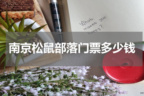 南京松鼠部落门票多少钱