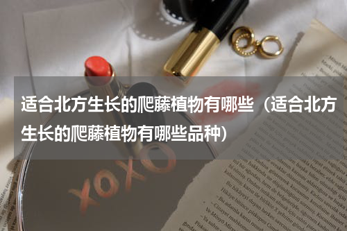 适合北方生长的爬藤植物有哪些（适合北方生长的爬藤植物有哪些品种）