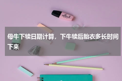 母牛下犊日期计算，下牛犊后胎衣多长时间下来