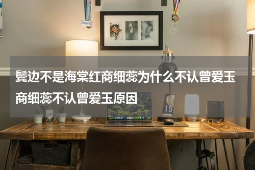 鬓边不是海棠红商细蕊为什么不认曾爱玉 商细蕊不认曾爱玉原因