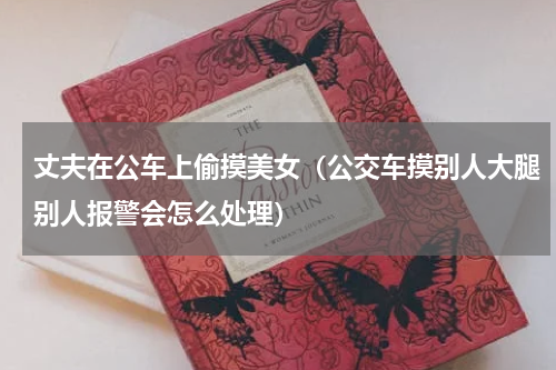 丈夫在公车上偷摸美女（公交车摸别人大腿别人报警会怎么处理）
