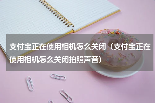 支付宝正在使用相机怎么关闭（支付宝正在使用相机怎么关闭拍照声音）