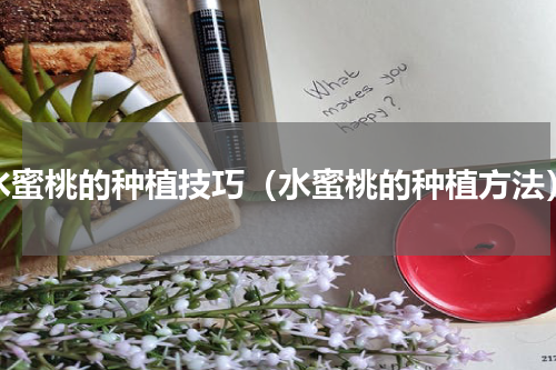 水蜜桃的种植技巧（水蜜桃的种植方法）