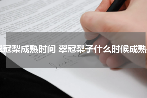 翠冠梨成熟时间 翠冠梨子什么时候成熟