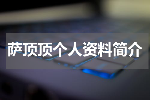 萨顶顶个人资料简介
