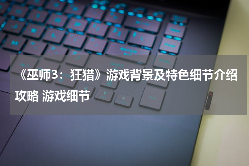 《巫师3：狂猎》游戏背景及特色细节介绍攻略 游戏细节