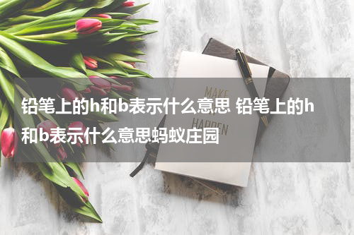 铅笔上的h和b表示什么意思 铅笔上的h和b表示什么意思蚂蚁庄园