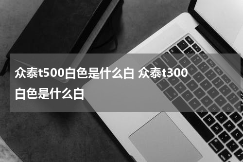 众泰t500白色是什么白 众泰t300白色是什么白